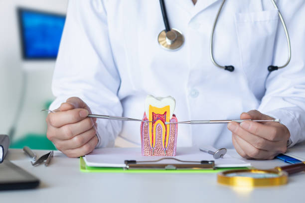 Best Tooth Infection Emergency Dentist  in St Francis, WI